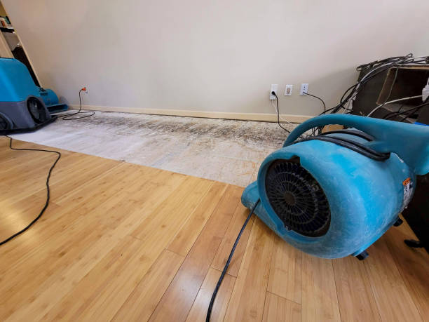 Professional Water Damage Repair technician working in Trenton, OH